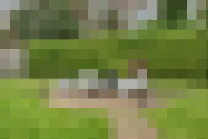 Klaprooslaan 16 Terneuzen thumbnail 48