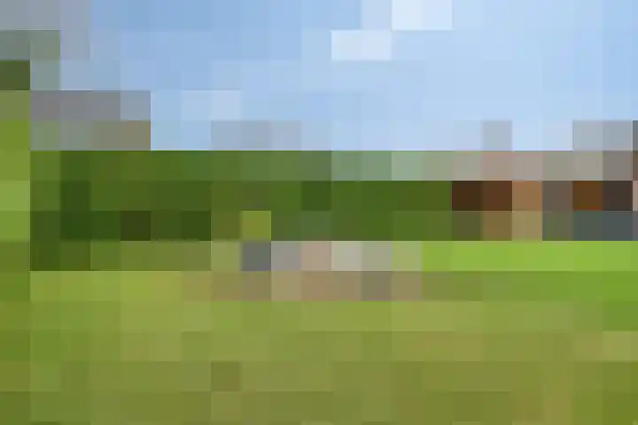 Klaprooslaan 16 Terneuzen thumbnail 49