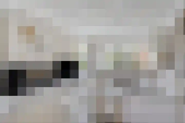Klaprooslaan 16 Terneuzen thumbnail 7
