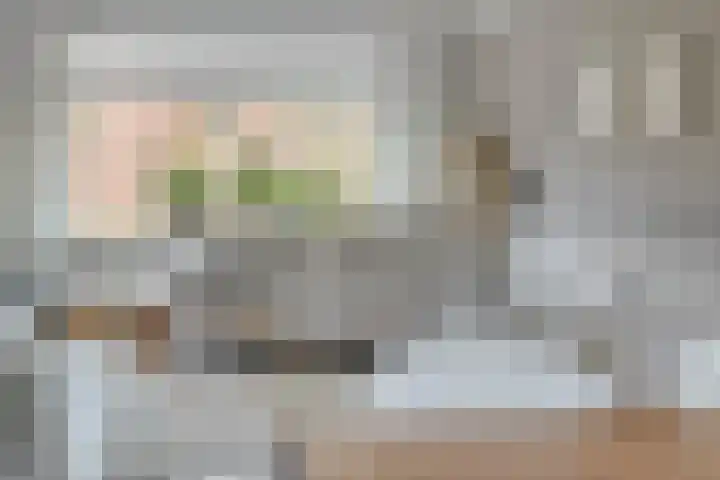 Klaprooslaan 16 Terneuzen thumbnail 9
