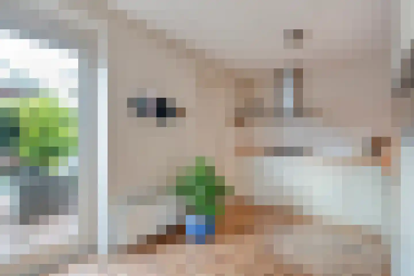 Klaprooslaan 20 Beilen thumbnail 21