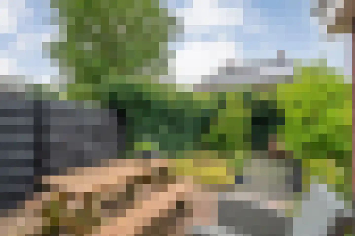 Klaprooslaan 20 Beilen thumbnail 39