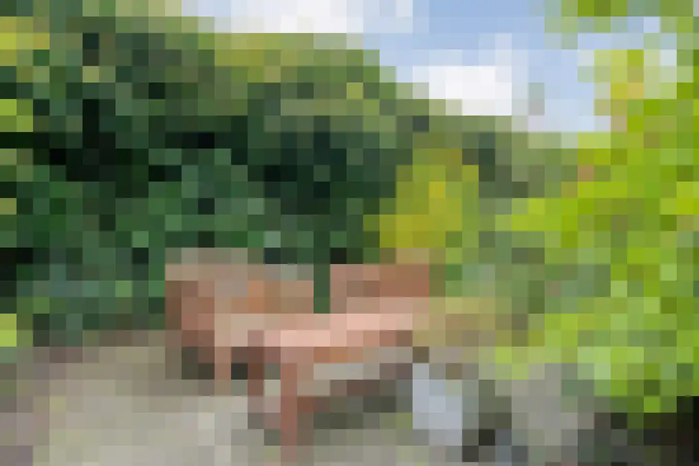 Klaprooslaan 20 Beilen thumbnail 42