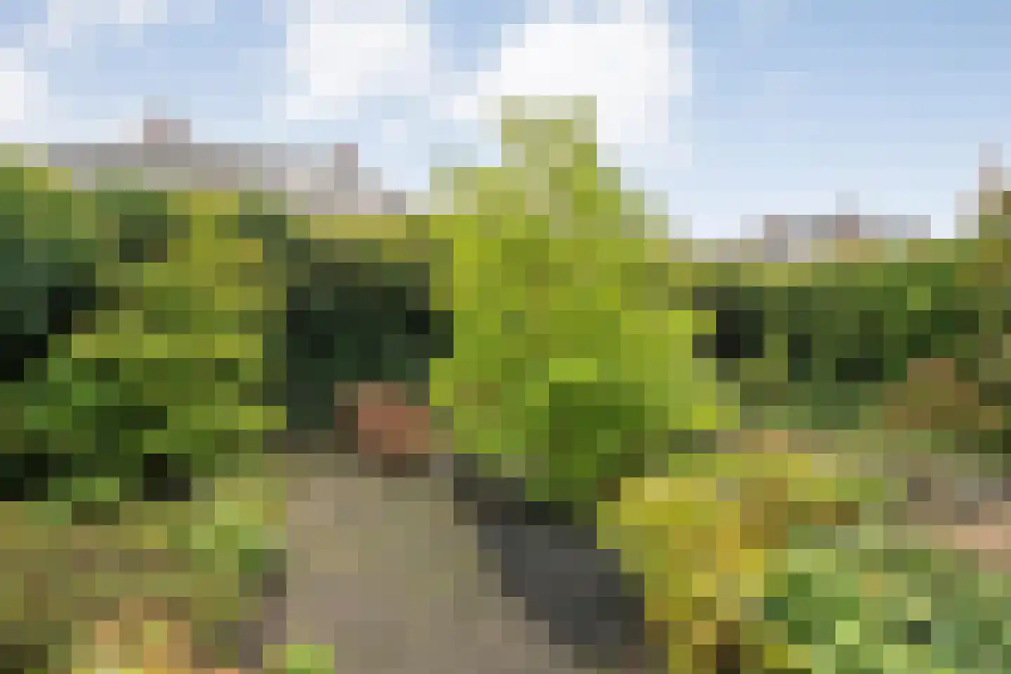 Klaprooslaan 20 Beilen thumbnail 43