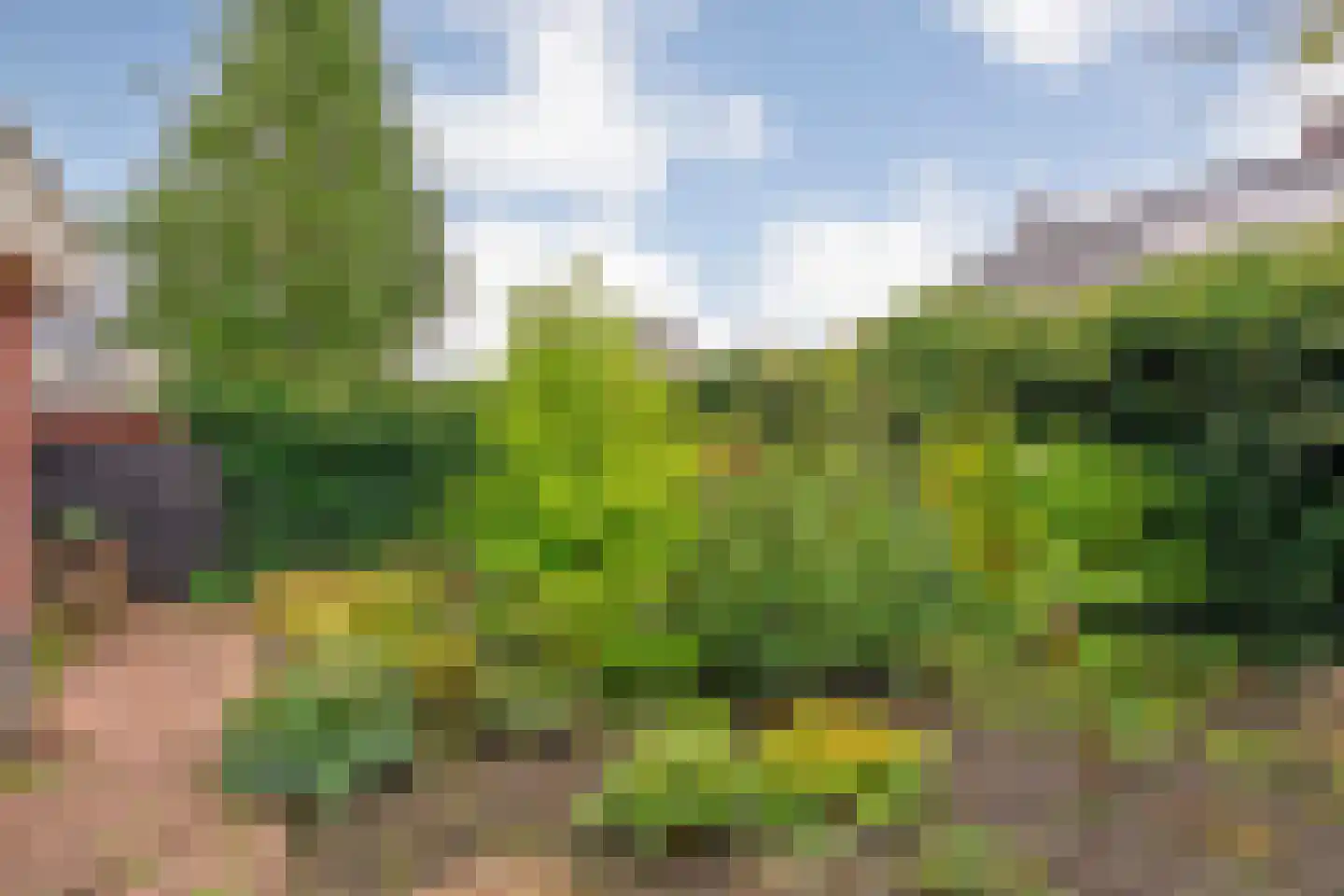 Klaprooslaan 20 Beilen thumbnail 44