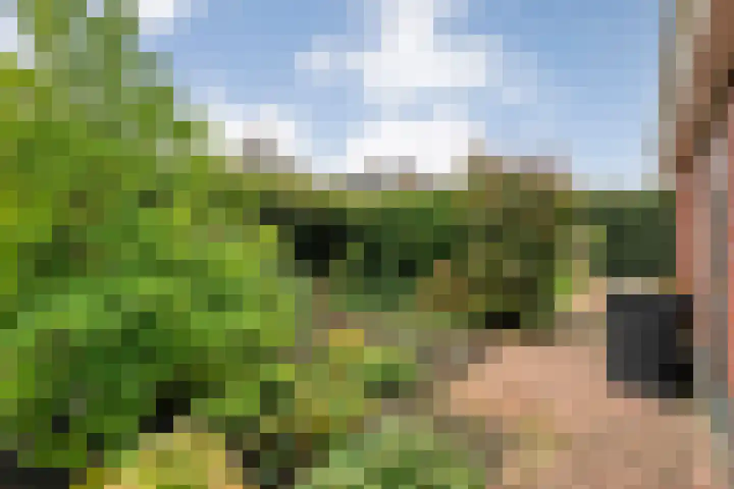 Klaprooslaan 20 Beilen thumbnail 45
