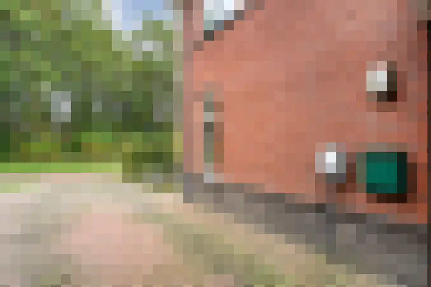 Klaprooslaan 20 Beilen thumbnail 51