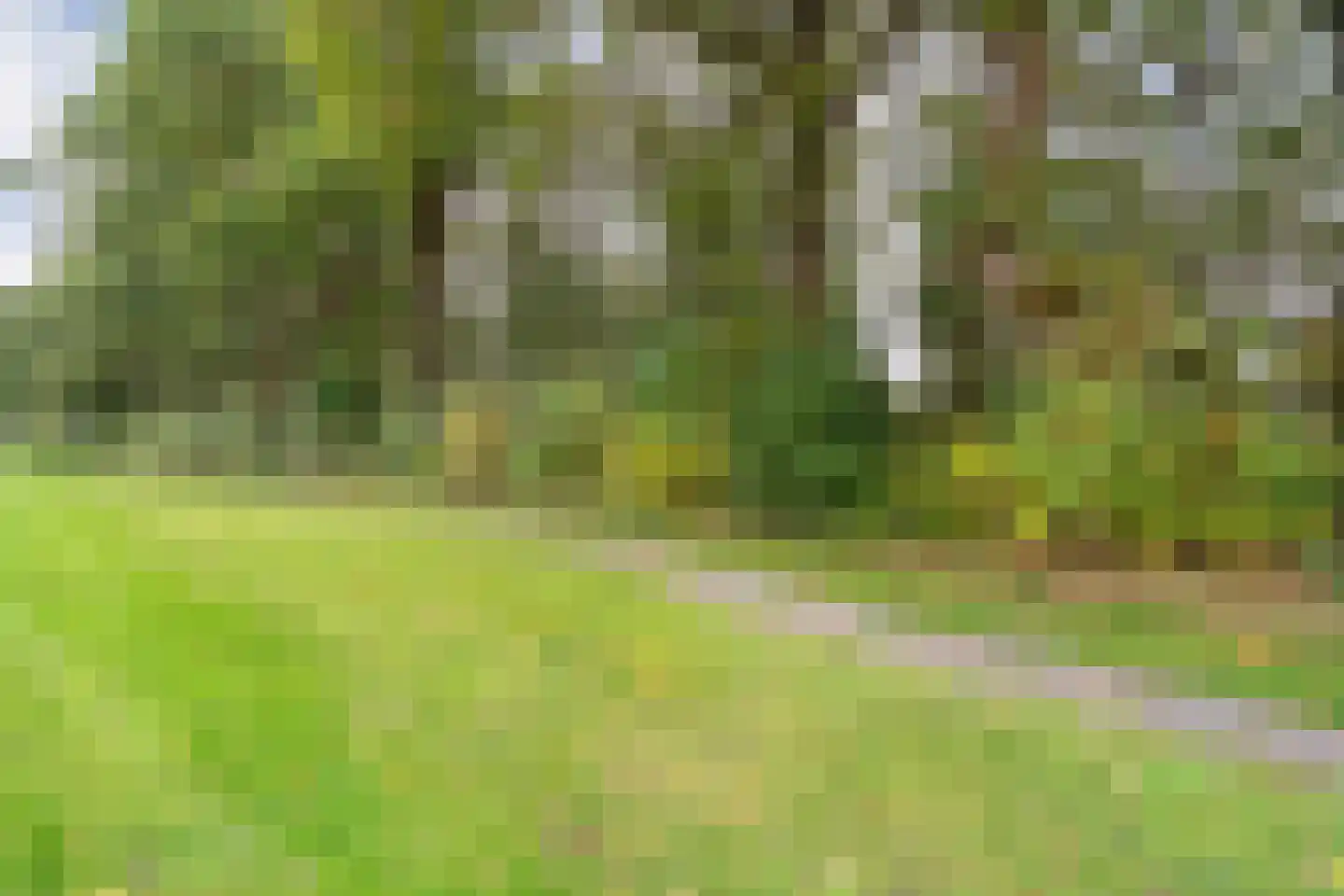 Klaprooslaan 20 Beilen thumbnail 54