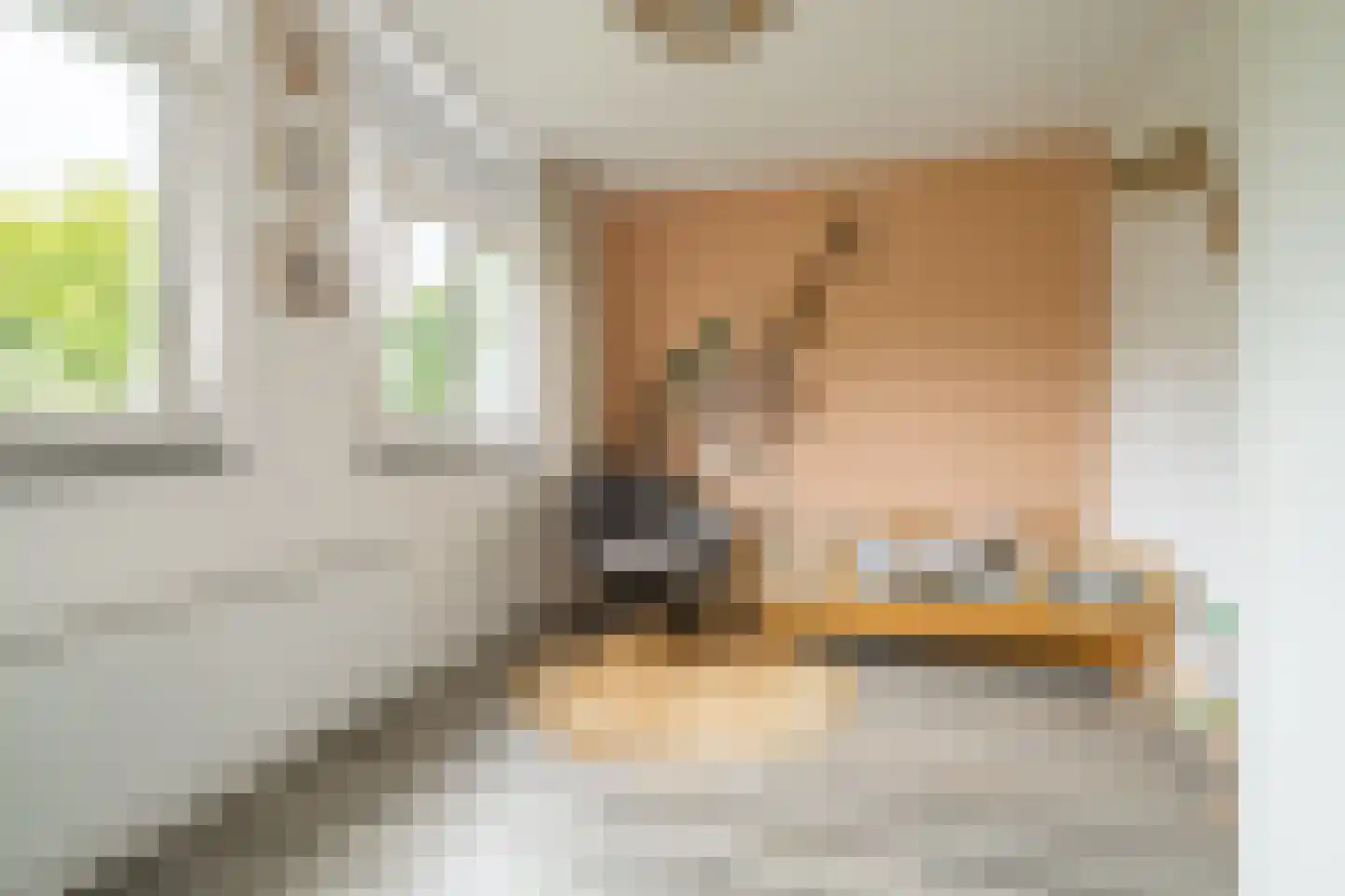 Klaprooslaan 21 Hoevelaken thumbnail 22