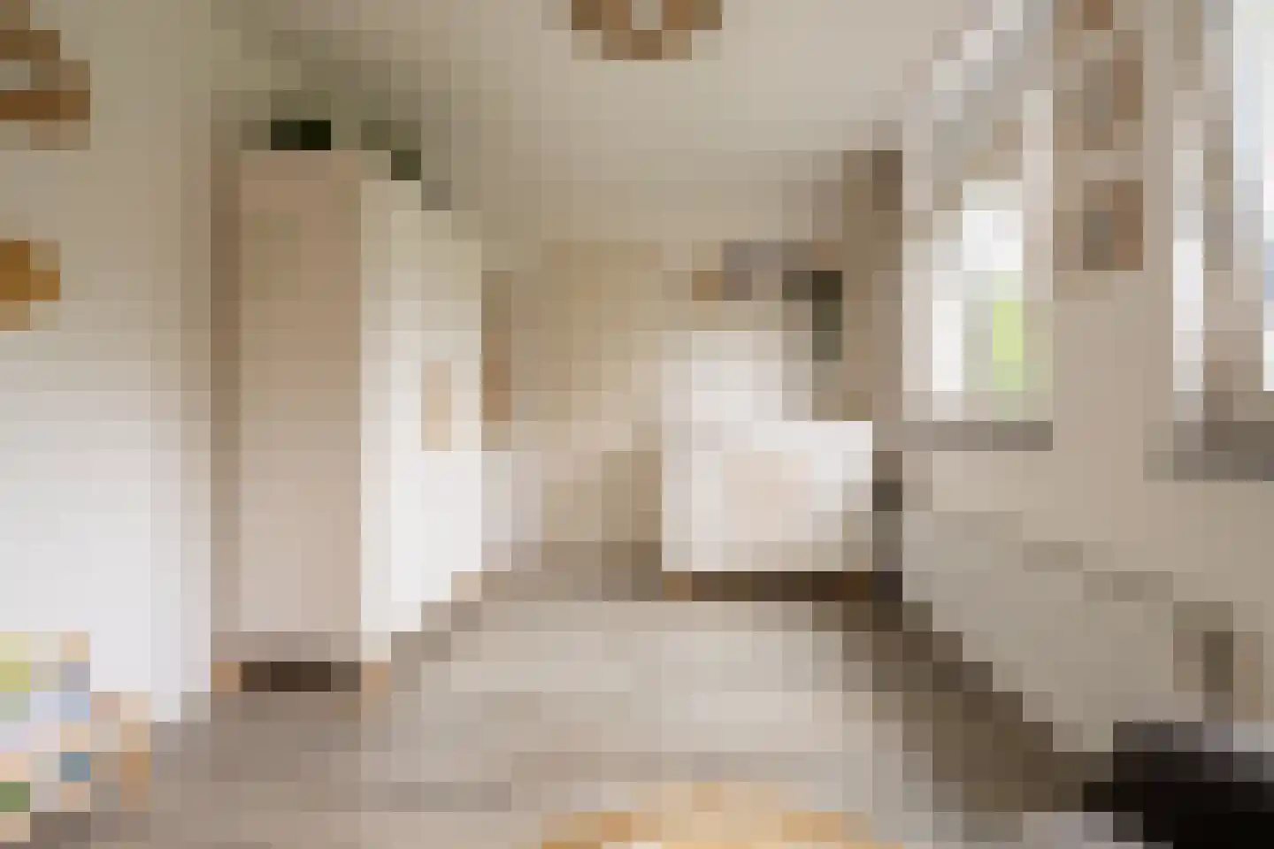 Klaprooslaan 21 Hoevelaken thumbnail 23