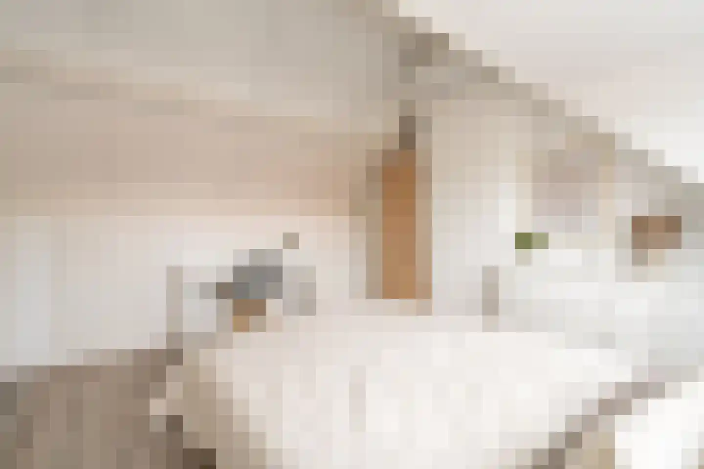 Klaprooslaan 21 Hoevelaken thumbnail 35