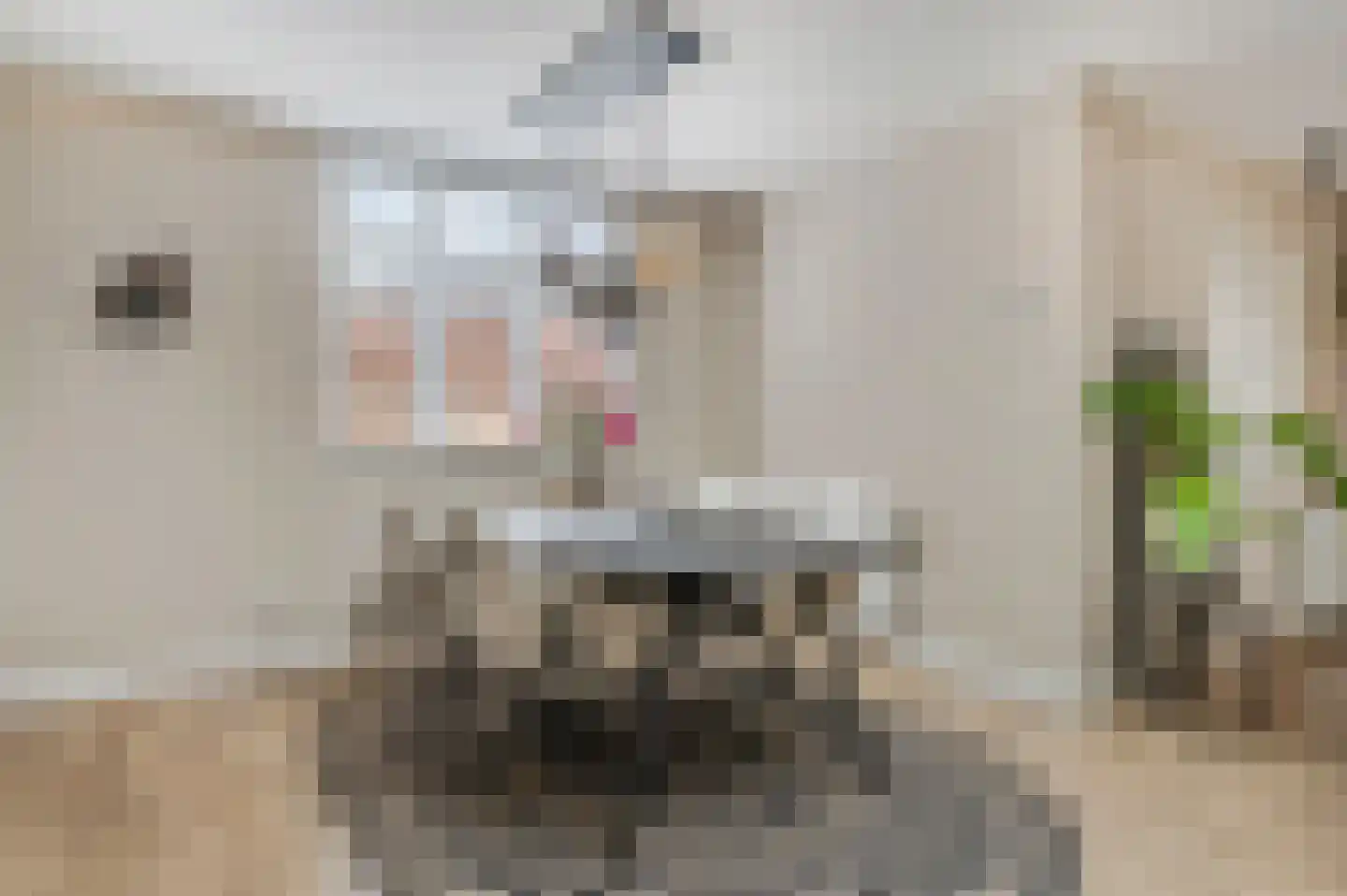 Klaprooslaan 24 Ede thumbnail 10