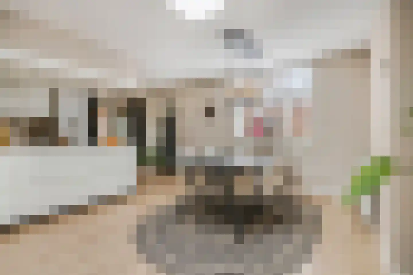 Klaprooslaan 24 Ede thumbnail 12