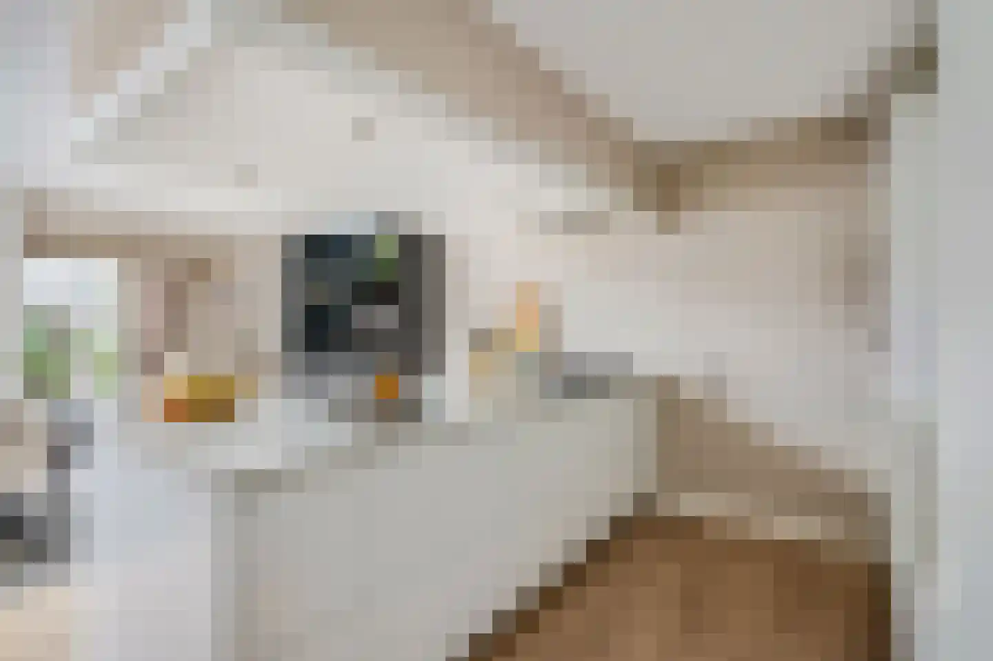 Klaprooslaan 24 Ede thumbnail 13