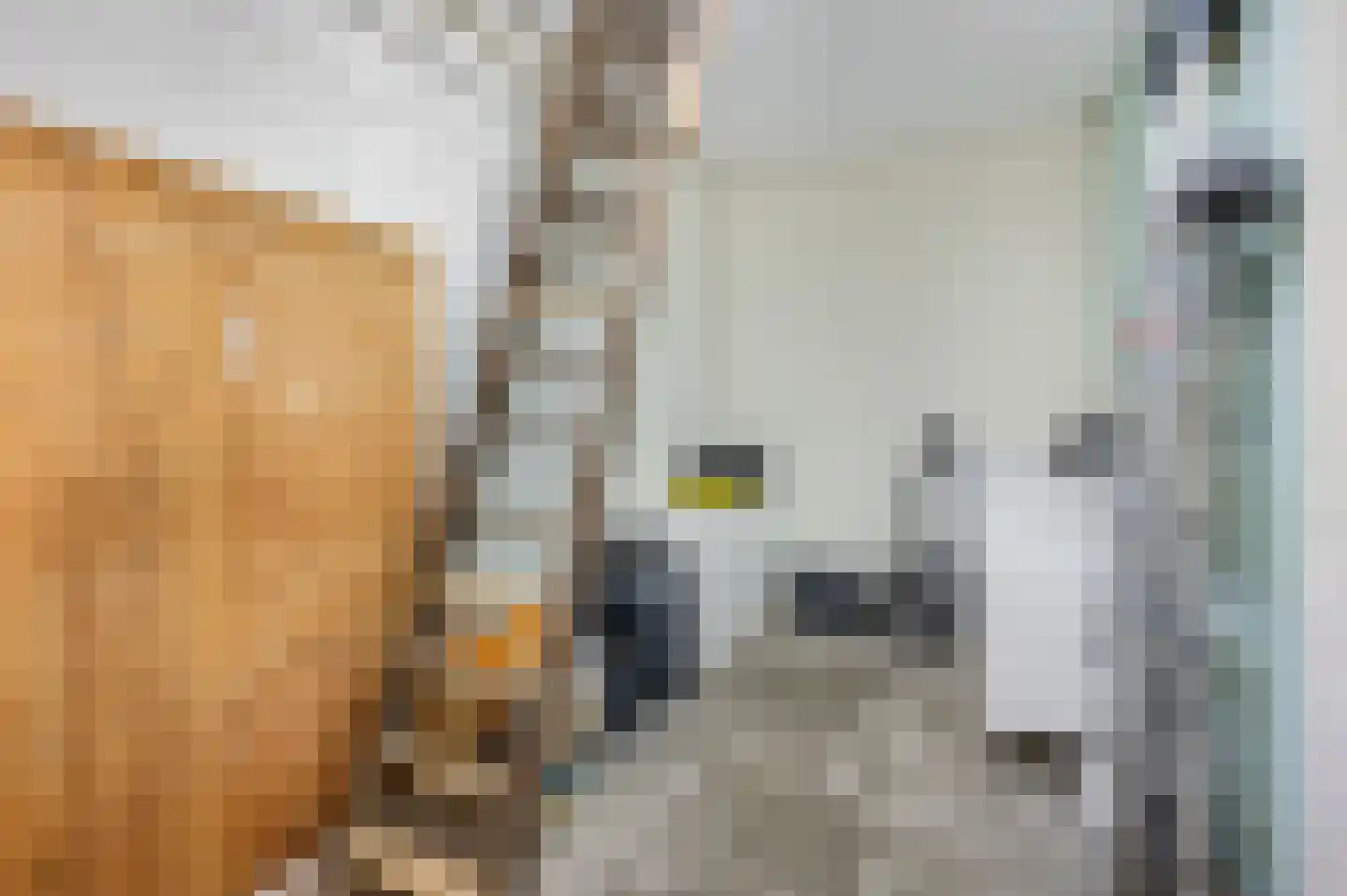 Klaprooslaan 24 Ede thumbnail 43