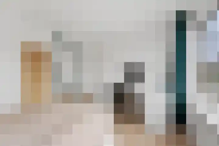 Klaprooslaan 24 Rotterdam thumbnail 30