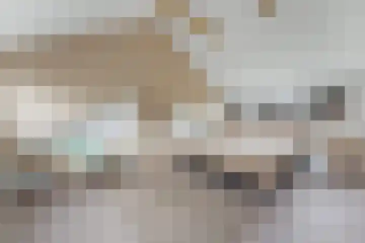 Klaprooslaan 24 Rotterdam thumbnail 35