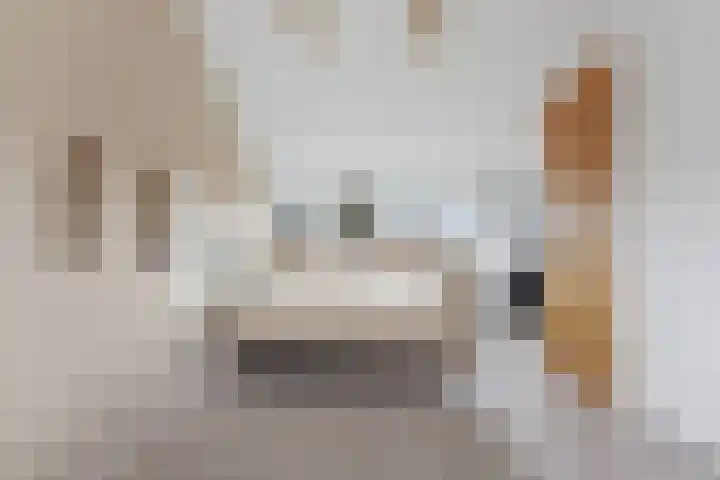 Klaprooslaan 24 Rotterdam thumbnail 36