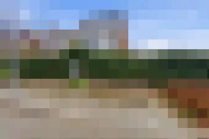 Klaprooslaan 24 Rotterdam thumbnail 57