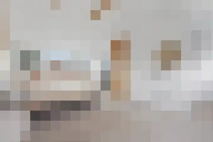 Klaprooslaan 24 Rotterdam thumbnail 6