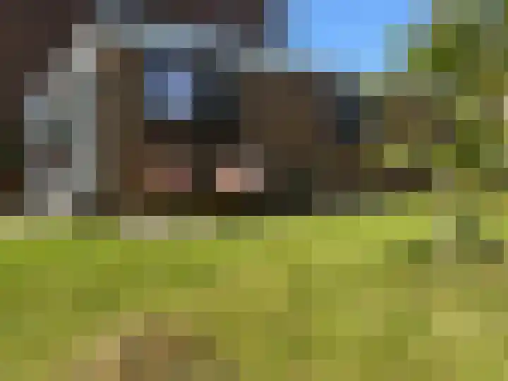 Klaprooslaan 24 Rotterdam thumbnail 63