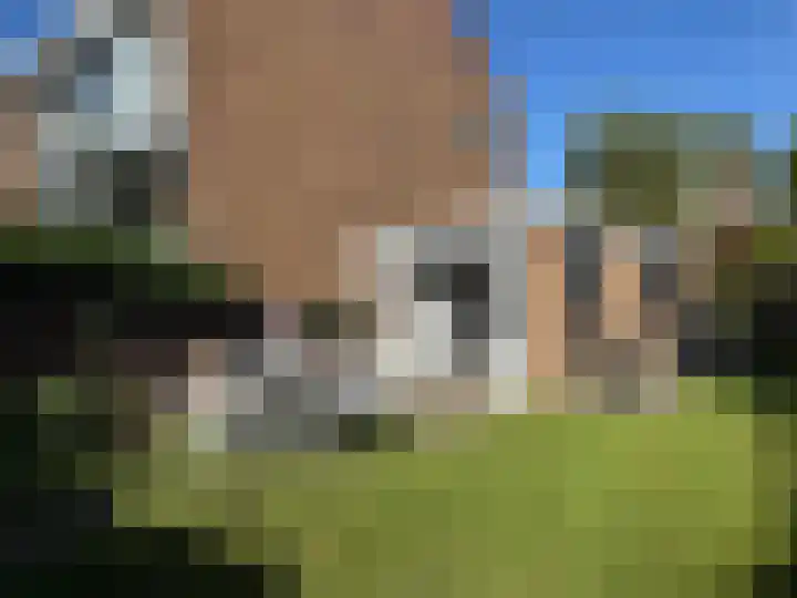Klaprooslaan 24 Rotterdam thumbnail 66