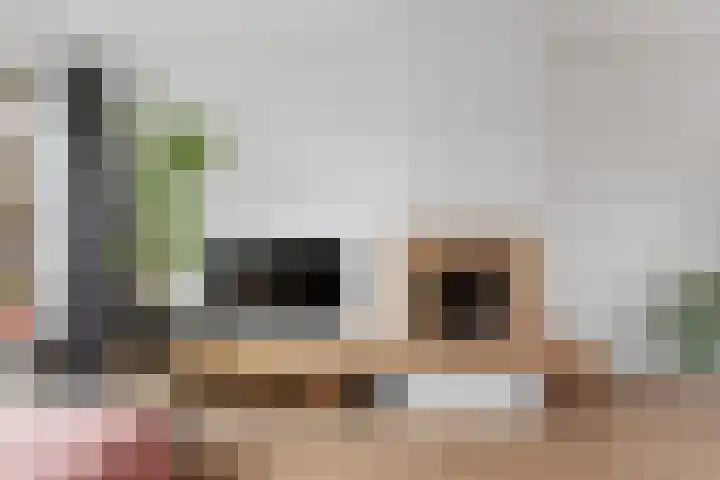 Klaprooslaan 24 Rotterdam thumbnail 7