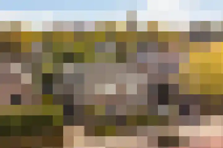 Klaprooslaan 25 en Ede
