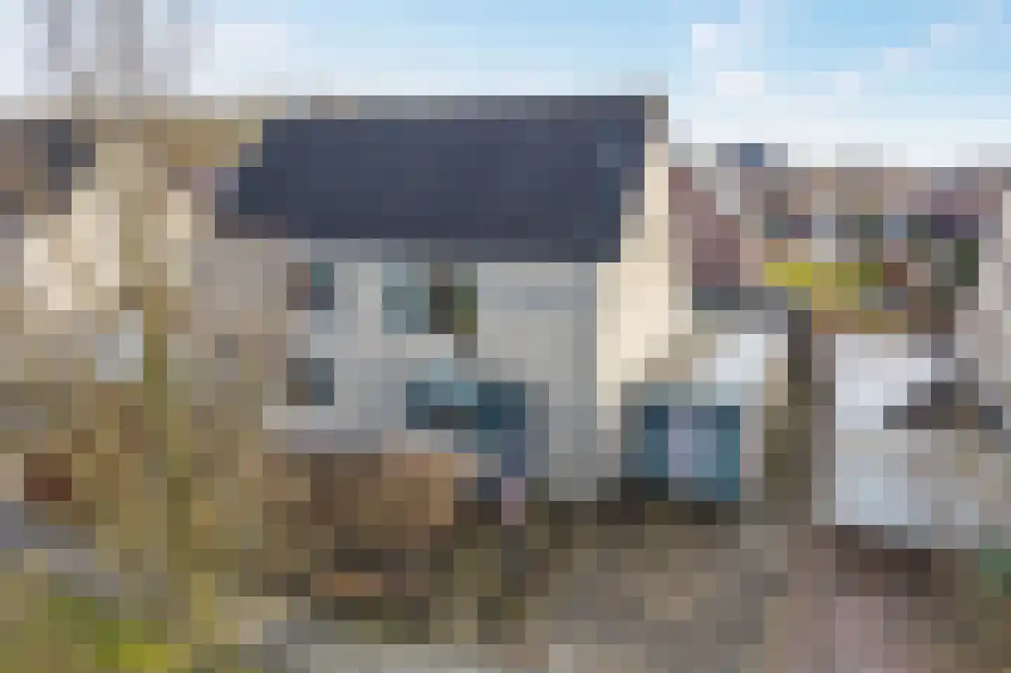 Klaprooslaan 26 Appingedam thumbnail 9