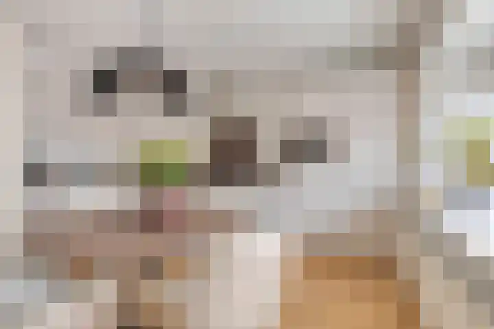 Klaprooslaan 3 Waalre thumbnail 12