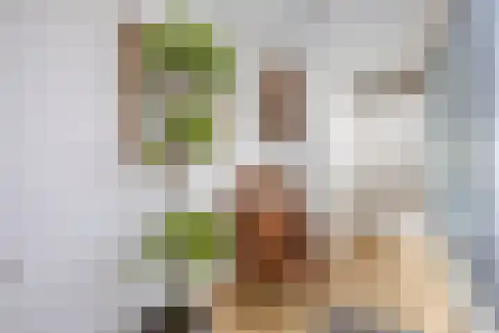 Klaprooslaan 3 Waalre thumbnail 16