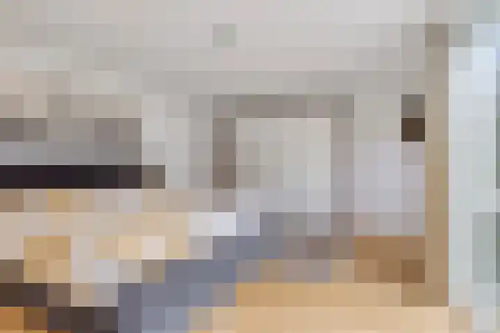 Klaprooslaan 3 Waalre thumbnail 18