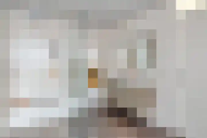 Klaprooslaan 3 Waalre thumbnail 19