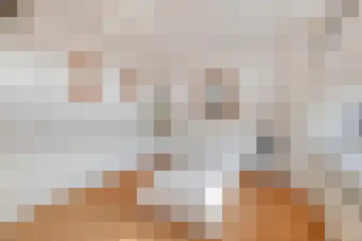 Klaprooslaan 3 Waalre thumbnail 24