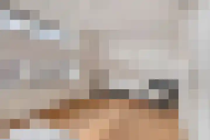 Klaprooslaan 3 Waalre thumbnail 25