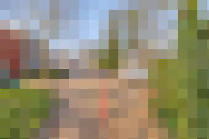 Klaprooslaan 3 Waalre thumbnail 33