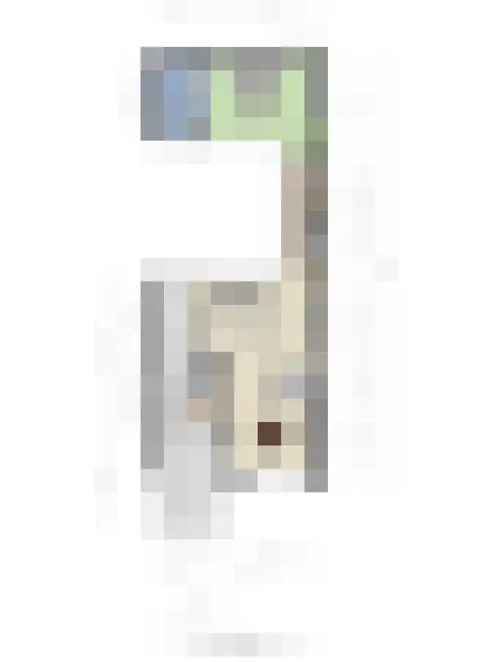 Klaprooslaan 3 Waalre thumbnail 34