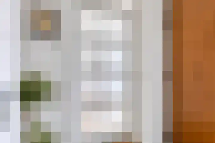 Klaprooslaan 3 Waalre thumbnail 6