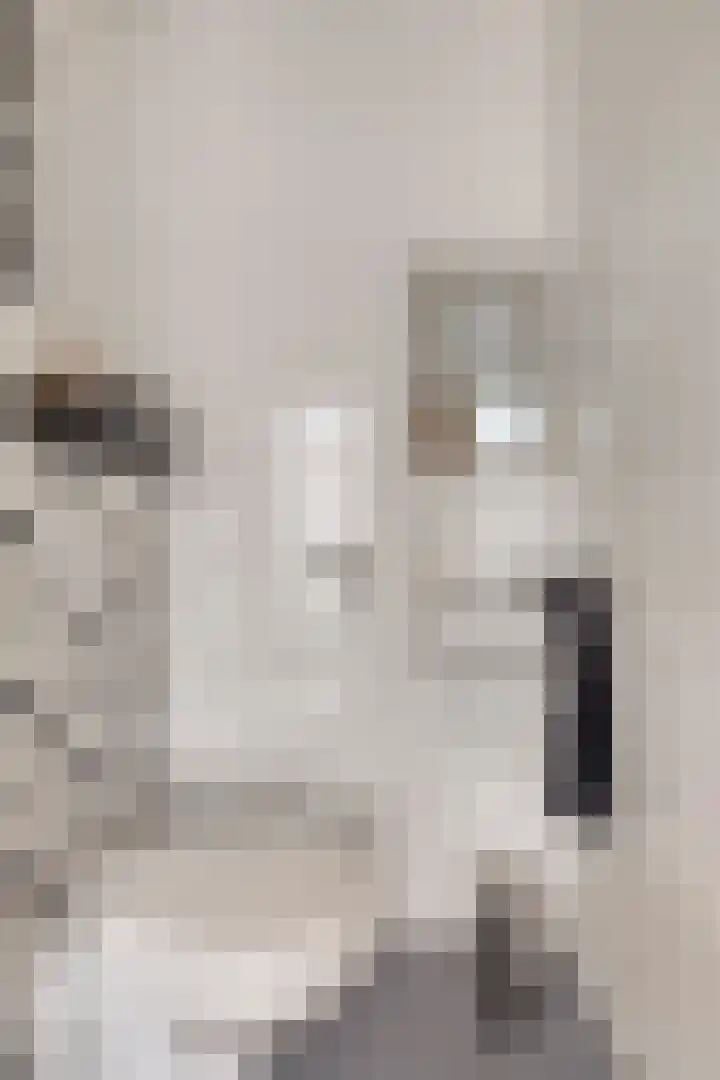 Klaprooslaan 3 Waalre thumbnail 7