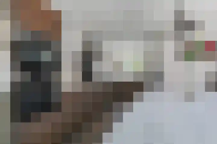 Klaprooslaan 32 Hoevelaken thumbnail 11