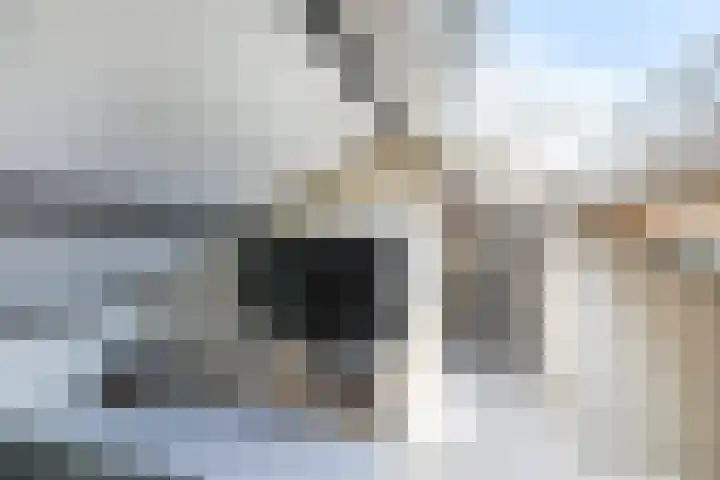 Klaprooslaan 32 Hoevelaken thumbnail 35