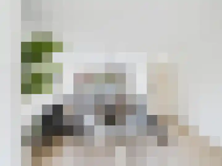 Klaprooslaan 46 Terneuzen thumbnail 6