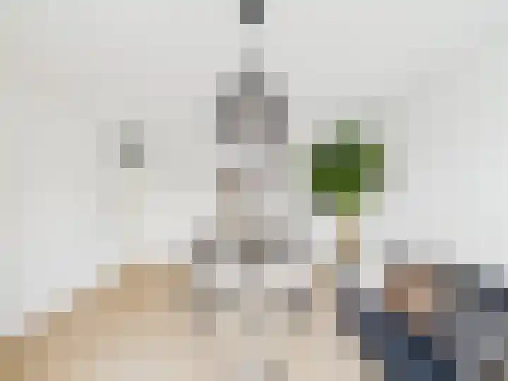 Klaprooslaan 46 Terneuzen thumbnail 9