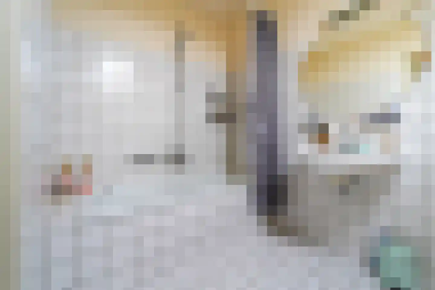 Klaprooslaan 49 Terneuzen thumbnail 20