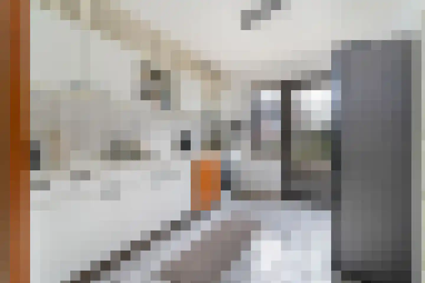 Klaprooslaan 49 Terneuzen thumbnail 6