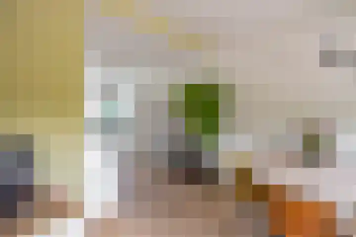 Klaprooslaan 53 b Groningen thumbnail 12