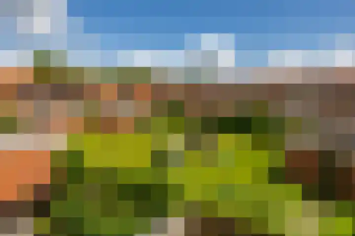 Klaprooslaan 53 b Groningen thumbnail 18