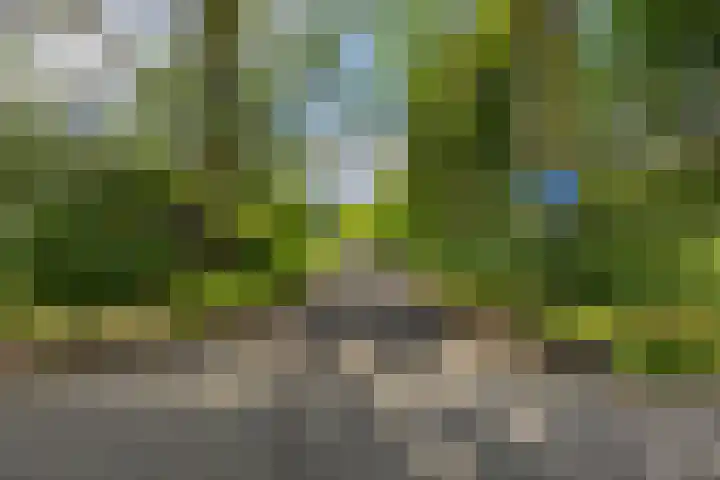Klaprooslaan 53 b Groningen thumbnail 37