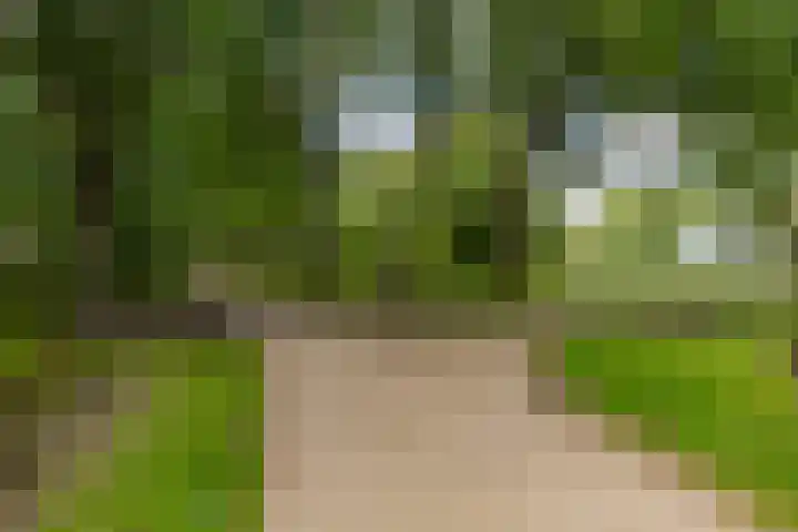 Klaprooslaan 53 b Groningen thumbnail 4