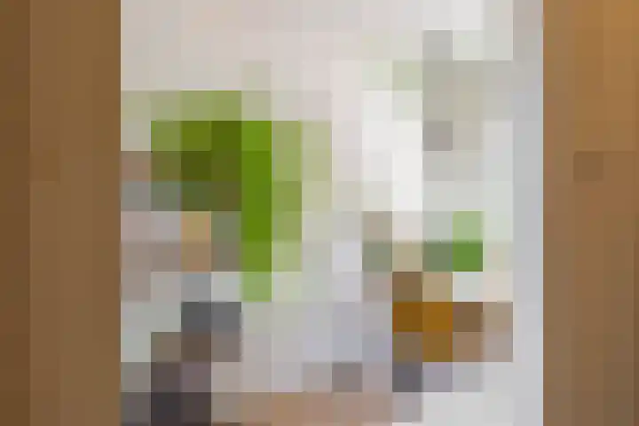 Klaprooslaan 53 b Groningen thumbnail 9